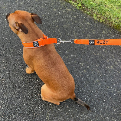 Orange lead with black text in hobo font