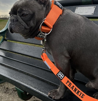 Orange lead with black text in saloon font