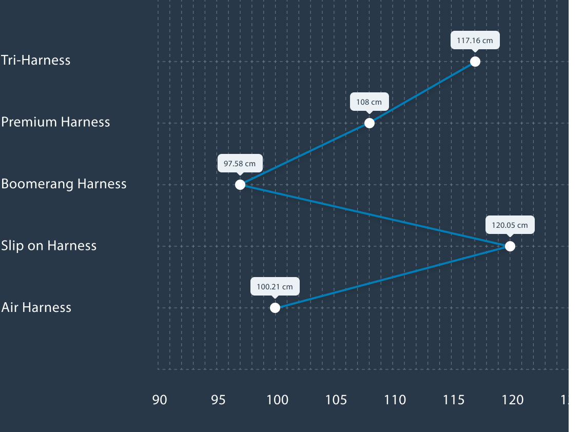 Stride Lengths