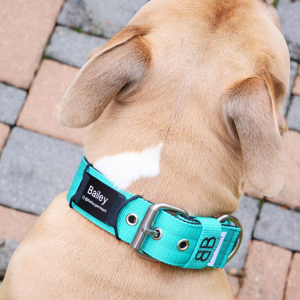 Dog ID Attachment Tag (8 Colour Choices)