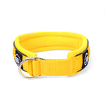 4cm Slip on Collar | Soft Padded & Reflective - Yellow v2.0