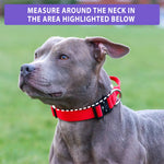 2.5cm Combat® Collar | With Handle & Rated Clip - Turquoise v2.0