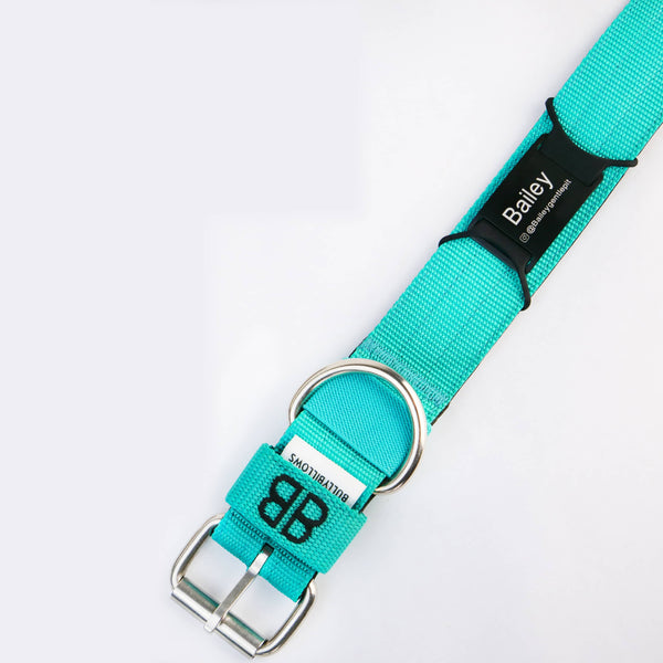 Dog ID Attachment Tag (8 Colour Choices)