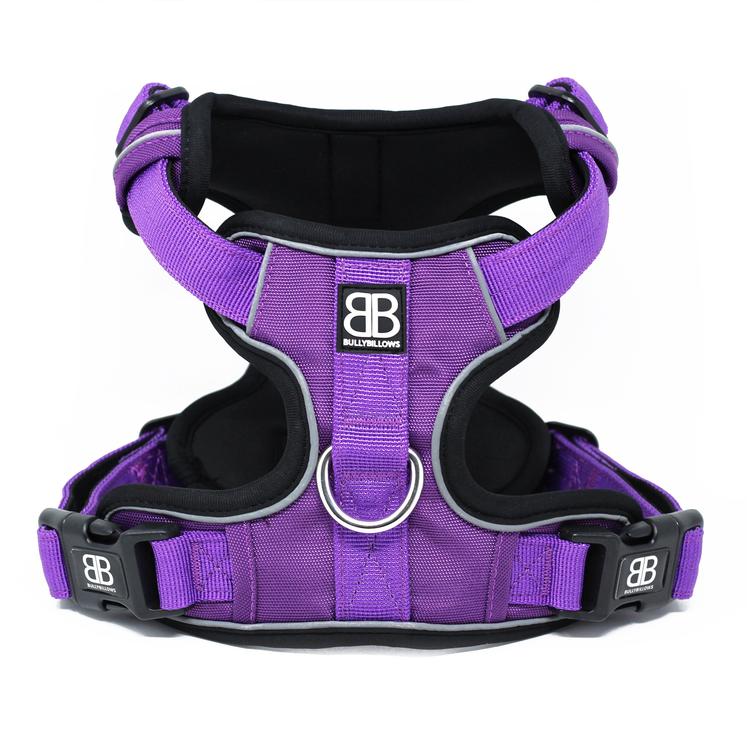 Dog Harness - Do's and Don'ts – BullyBillows