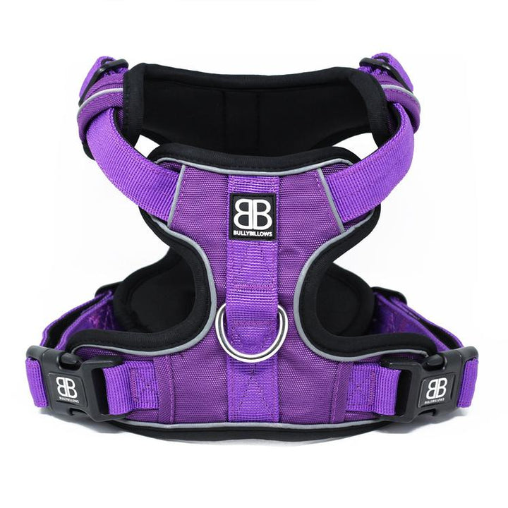 Dog Harness - Do's and Don'ts