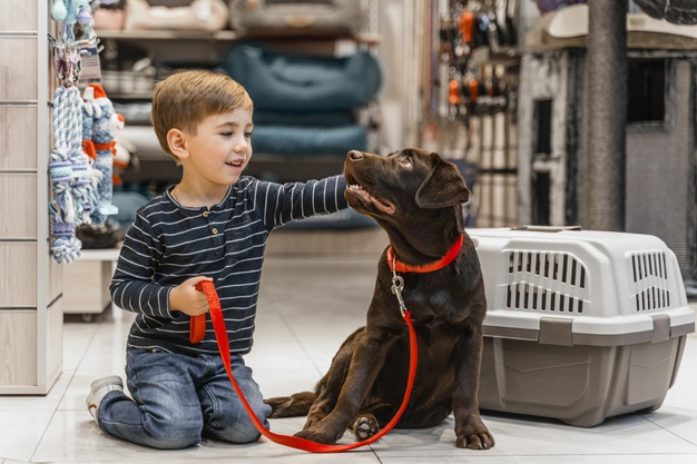 7 Ways a Dog Can Help People with Autism