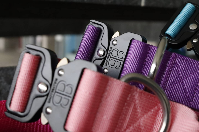 Nylon vs. Leather Dog Collar - Which Way to Go?