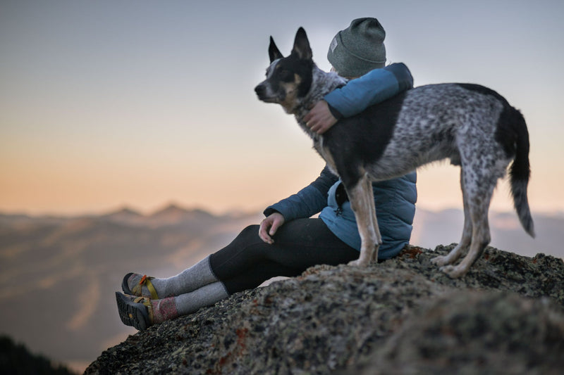 5 Dog Breeds That Will Make a Great Hiking Partner