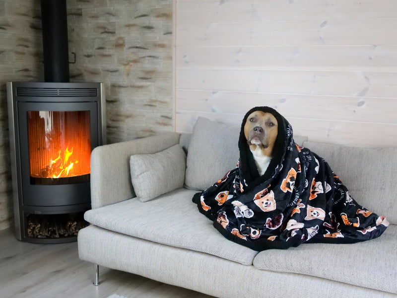 How to Have the Ultimate Spooky Movie Night with Your Dog