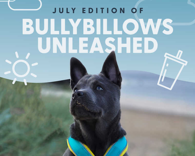 BullyBillows Unleashed: July Edition