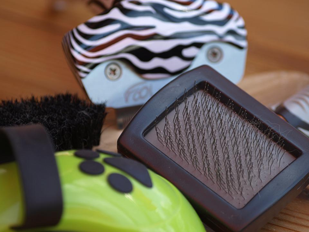 Here's How to Brush Your Dog