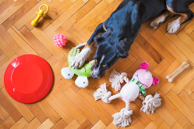 5 Super Cute Dog Toys You Can Make at Your Home