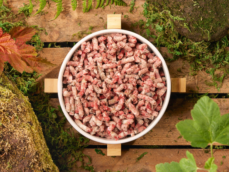 Raw Dog Food: Beginners Guide
