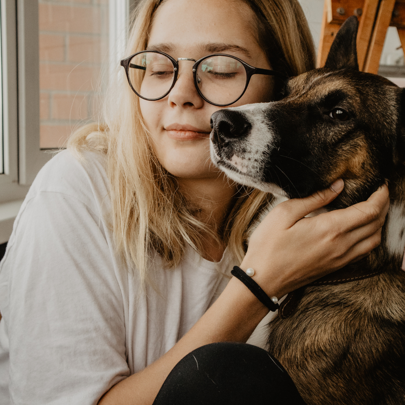 Top 4 Family Dog Breeds You Would Love to Bring Home