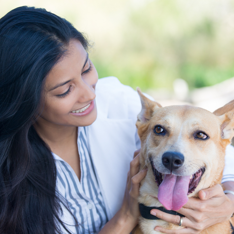 Do’s and Don'ts of Dog Care