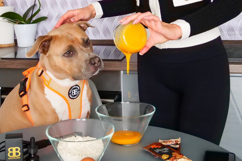 Halloween Dog Treat Recipes