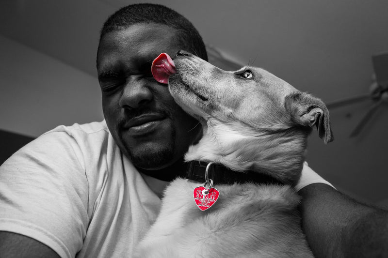 Top Three Reasons Why Your Dog Licks You