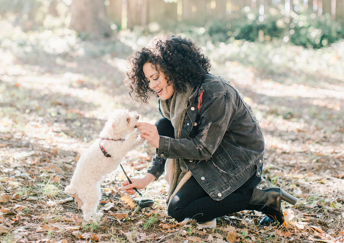 What to Look for When Buying a Dog Treat Pouch
