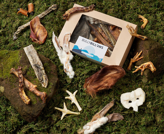 Natural Dog Treats