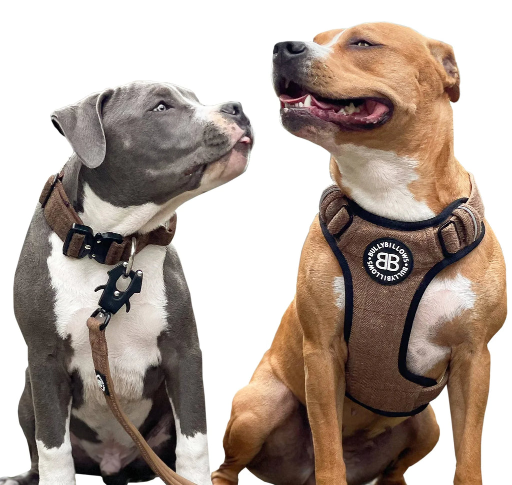 Dog Harnesses BullyBillows