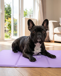 Dog Cooling Mats