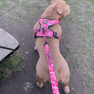1.4m swivel lead in bubblegum, with black text in block font