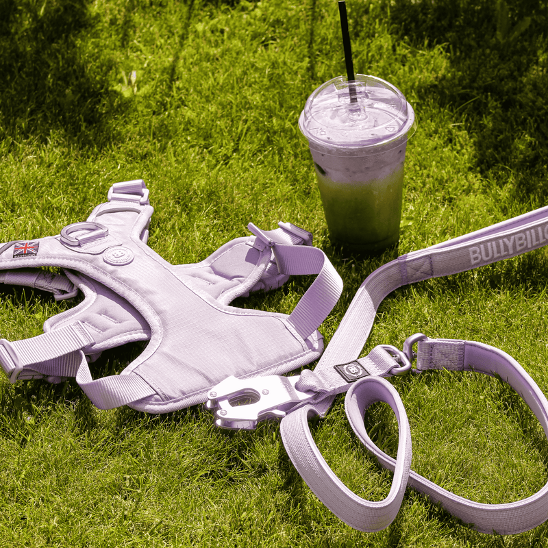 1.4m Lighter Swivel Combat Lead | Anti-Tangle & Secure Clip - Lavender X Ube