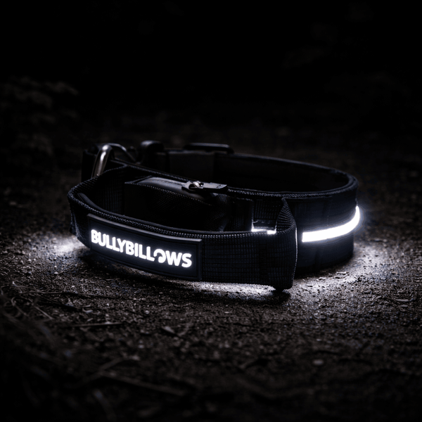 5cm Light Up LED Combat® Collar | Handle - Black