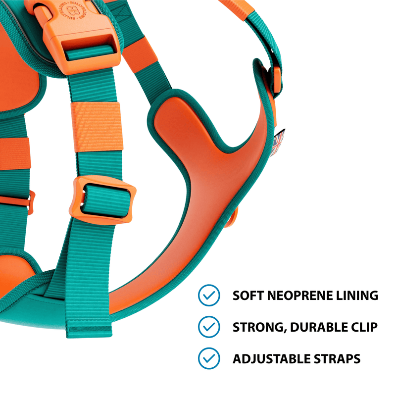 Anti Pull Hurricane Harness Lighter | With Handle - Turquoise X Orange