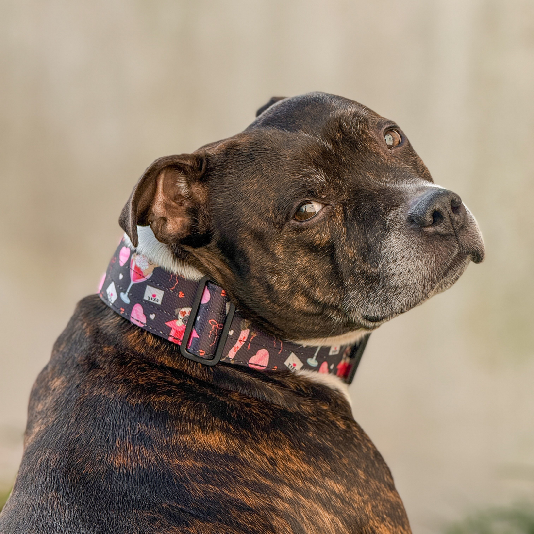 featured image of 5cm Lighter Combat® Collar | With Handle & Secure Clip - Dark Love Edition