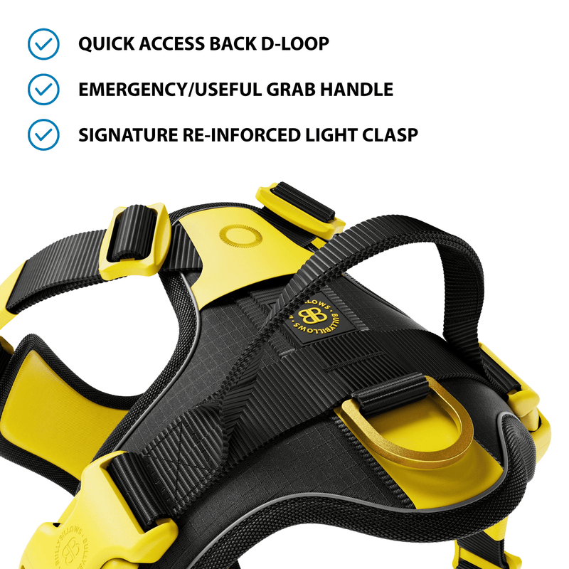 Anti Pull Hurricane Harness Lighter | With Handle - Black X Yellow