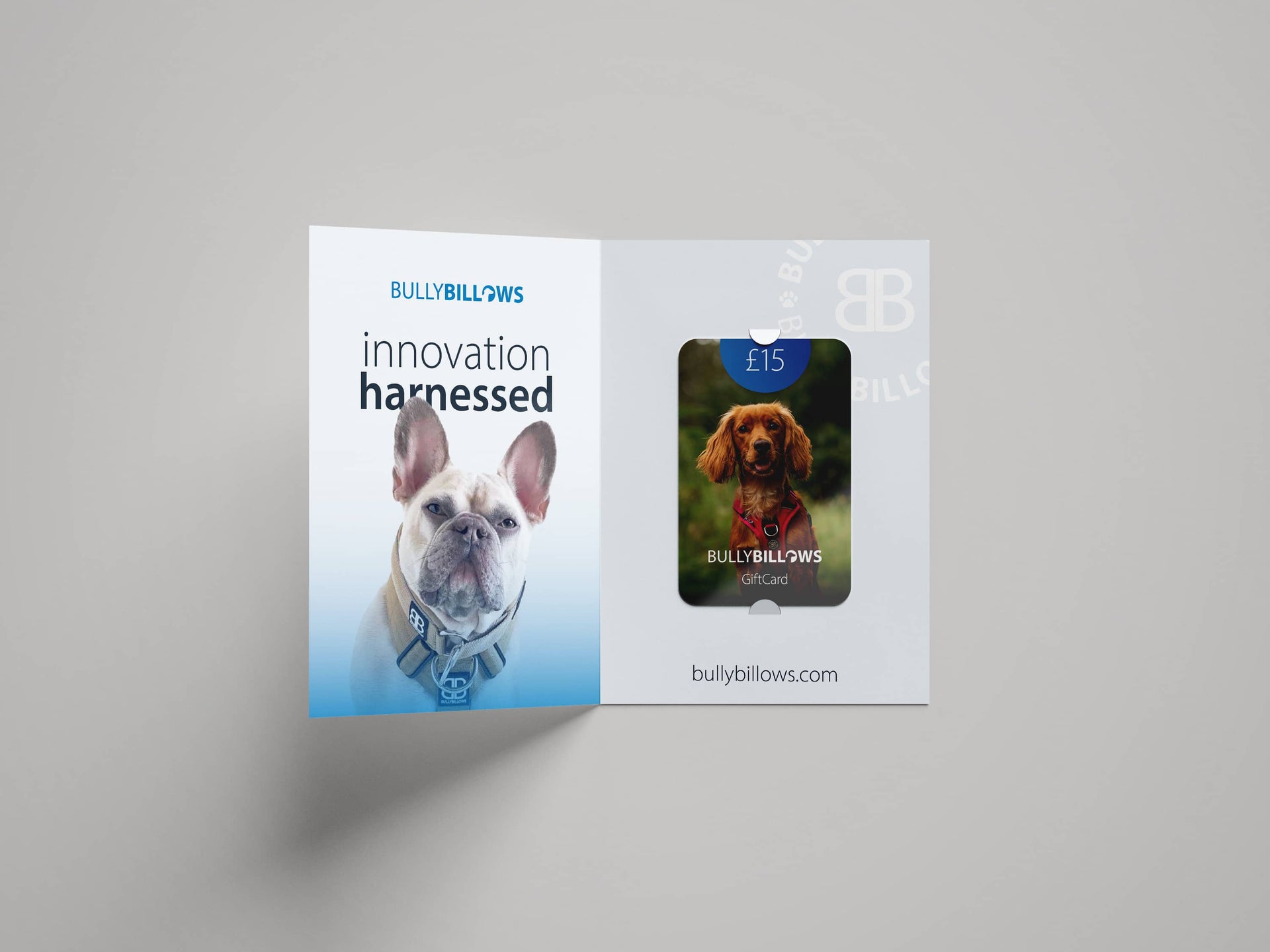 E Gift Cards
