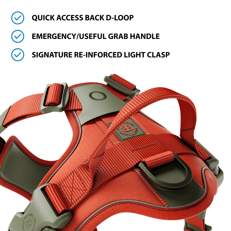 Anti Pull Hurricane Harness Lighter | With Handle - Burnt Orange X Khaki