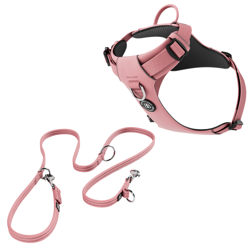 Air Harness & Training Lead Bundle - Pink