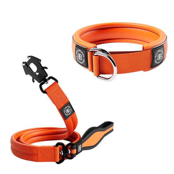 4cm Slip-on Collar & Mini Combat Lead Bundle - Orange