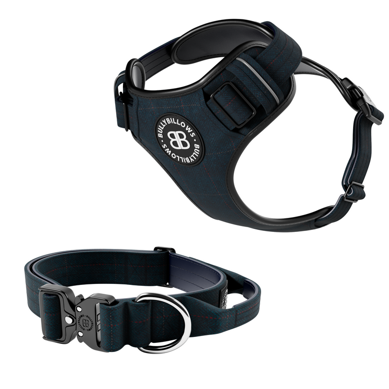 4cm Tweed Collar & Premium Harness Bundle – Midnight Blue