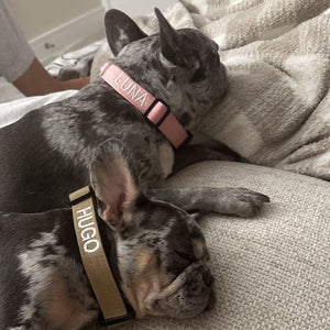 Pink & Khaki collars with block font in white