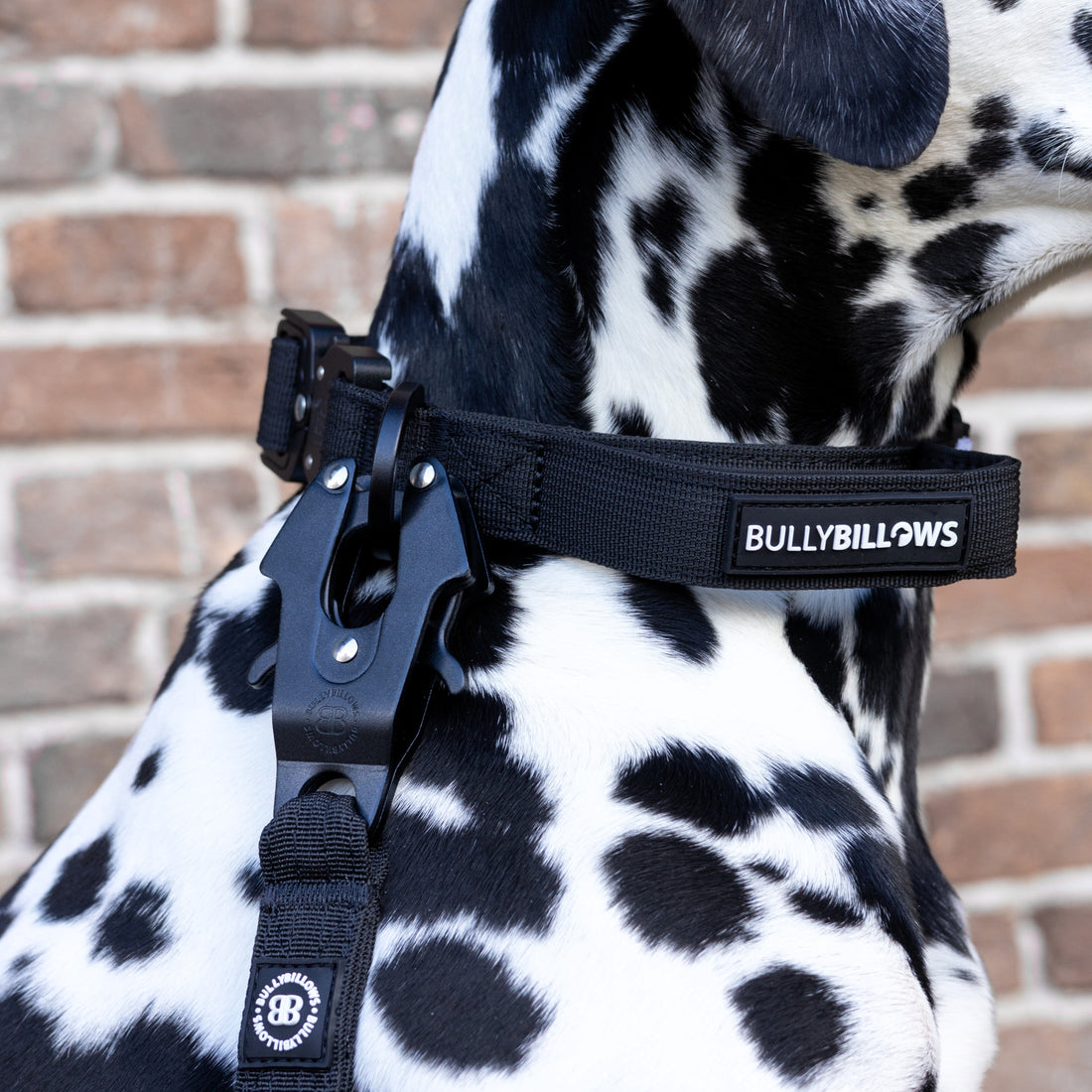featured image of 4cm Lighter Combat® Collar | With Handle & Secure Clip - Black x Black