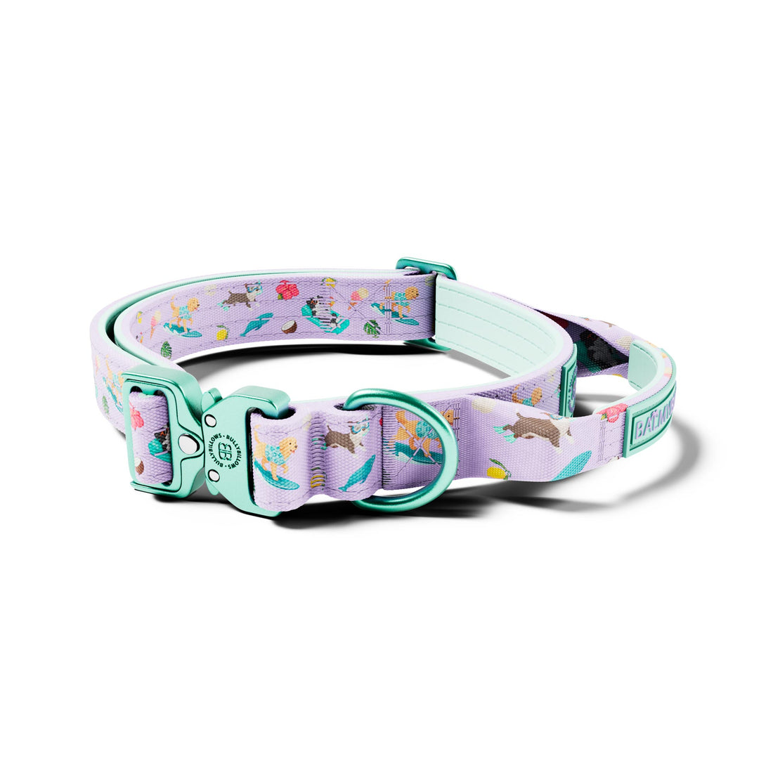 featured image of 2.5cm Lighter Combat® Collar | With Handle