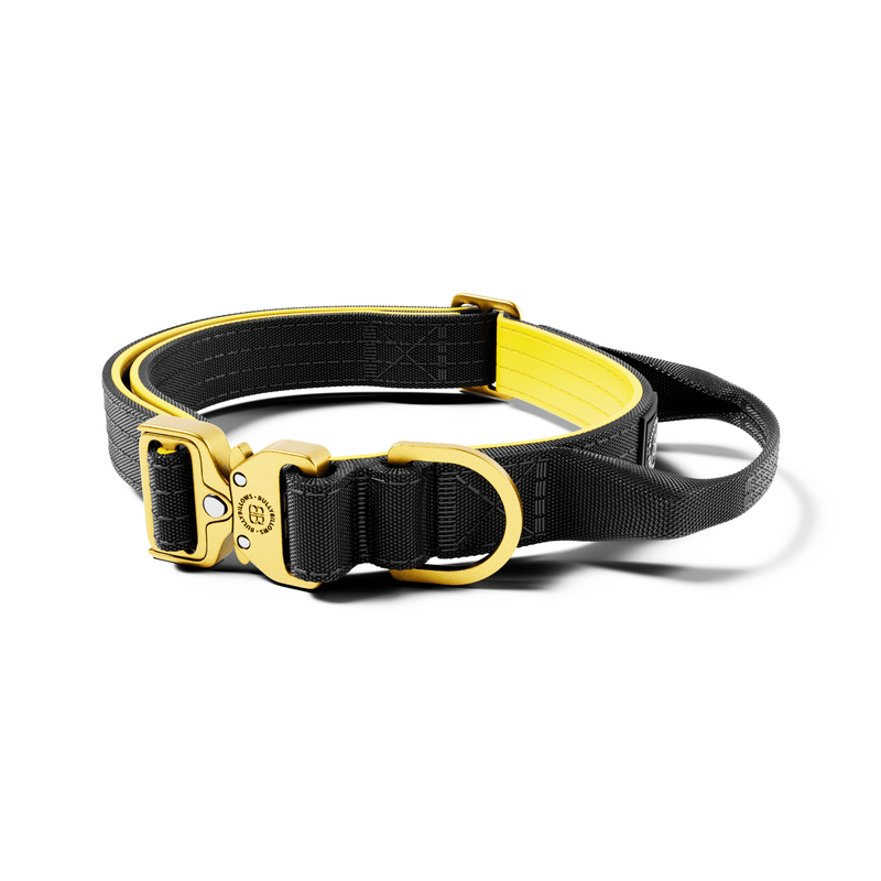 2.5cm Lighter Combat® Collar | Handle & Rated Clip - Black x Yellow