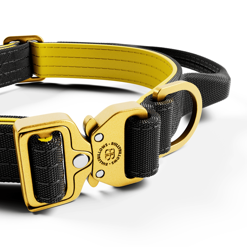 2.5cm Lighter Combat® Collar | Handle & Rated Clip - Black x Yellow
