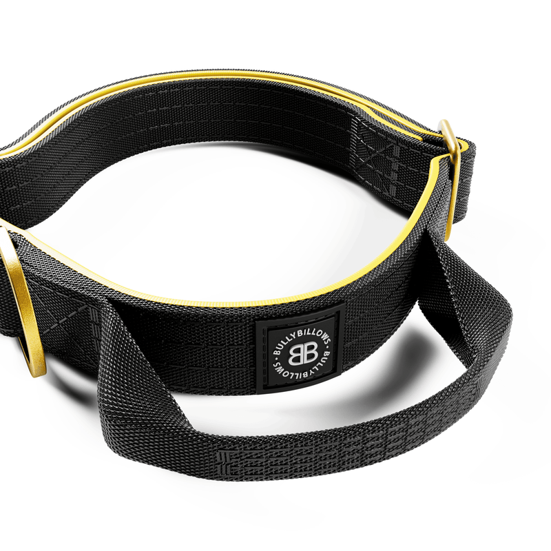 2.5cm Lighter Combat® Collar | Handle & Rated Clip - Black x Yellow