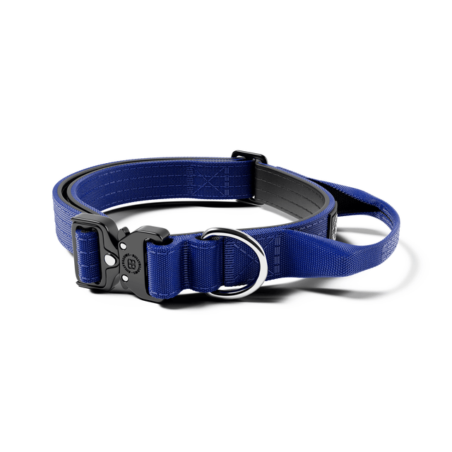 2.5cm Combat® Collar | With Handle & Secure Clip - Blue