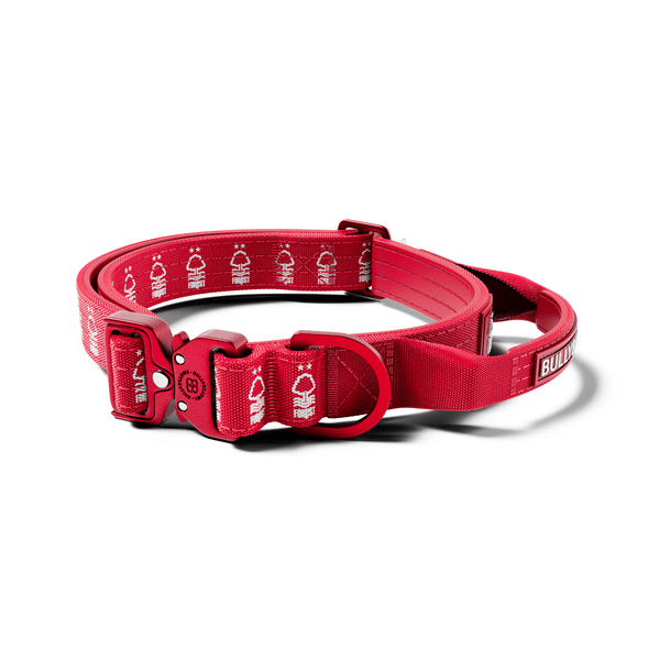 2.5cm Lighter Combat® Collar | Handle & Rated Clip - Nottingham Forest