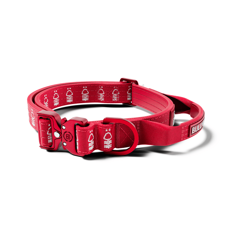 2.5cm Lighter Combat® Collar | Handle & Rated Clip - Nottingham Forest