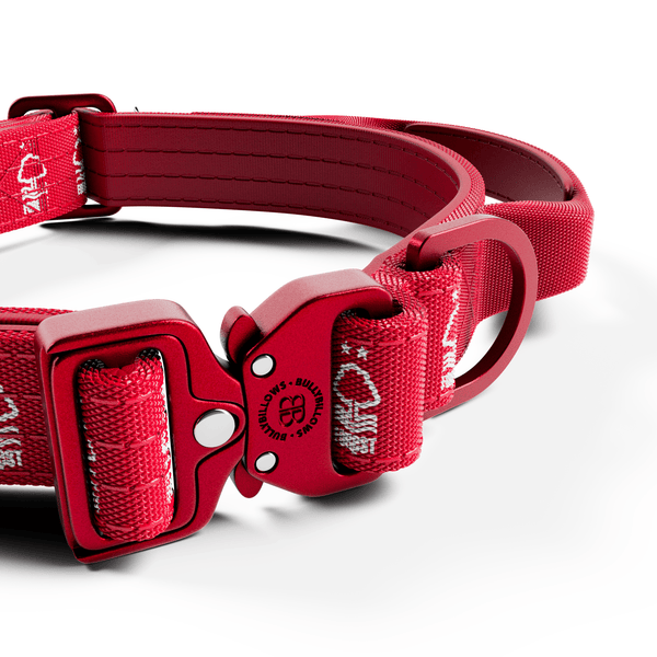 2.5cm Lighter Combat® Collar | Handle & Rated Clip - Nottingham Forest
