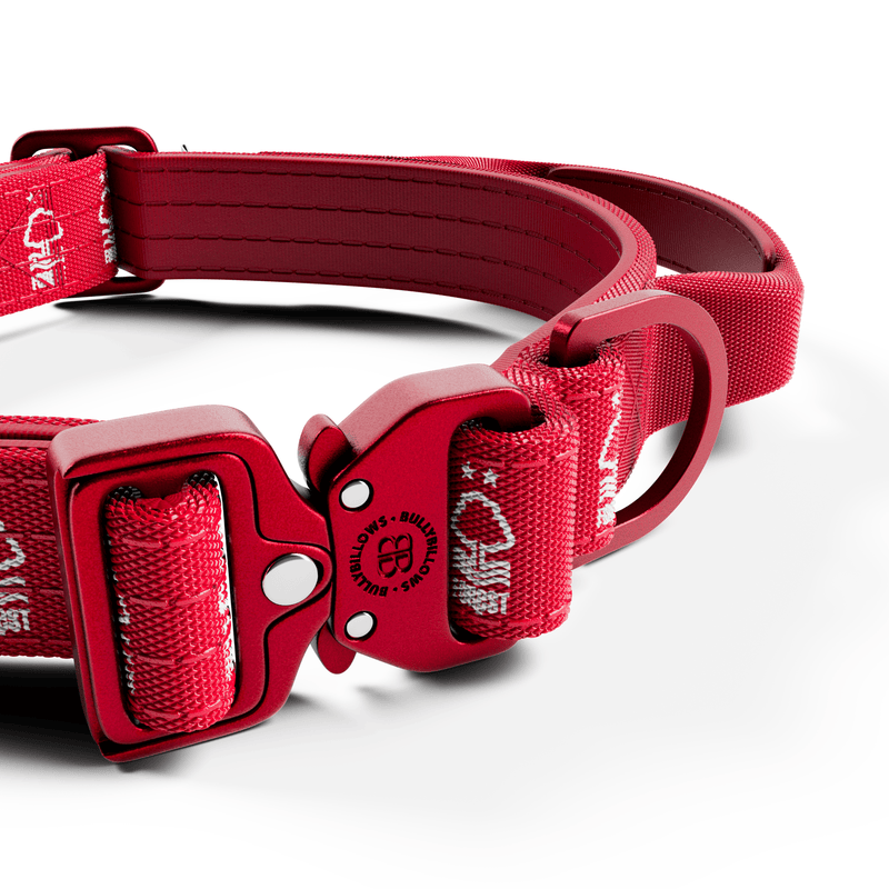 2.5cm Lighter Combat® Collar | Handle & Rated Clip - Nottingham Forest
