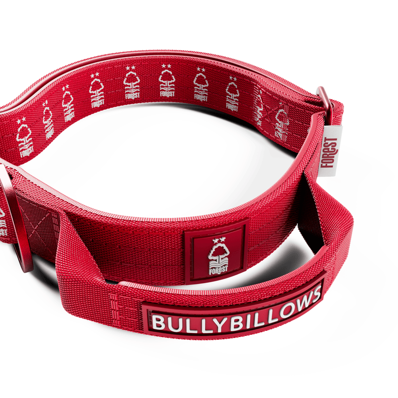 2.5cm Lighter Combat® Collar | Handle & Rated Clip - Nottingham Forest