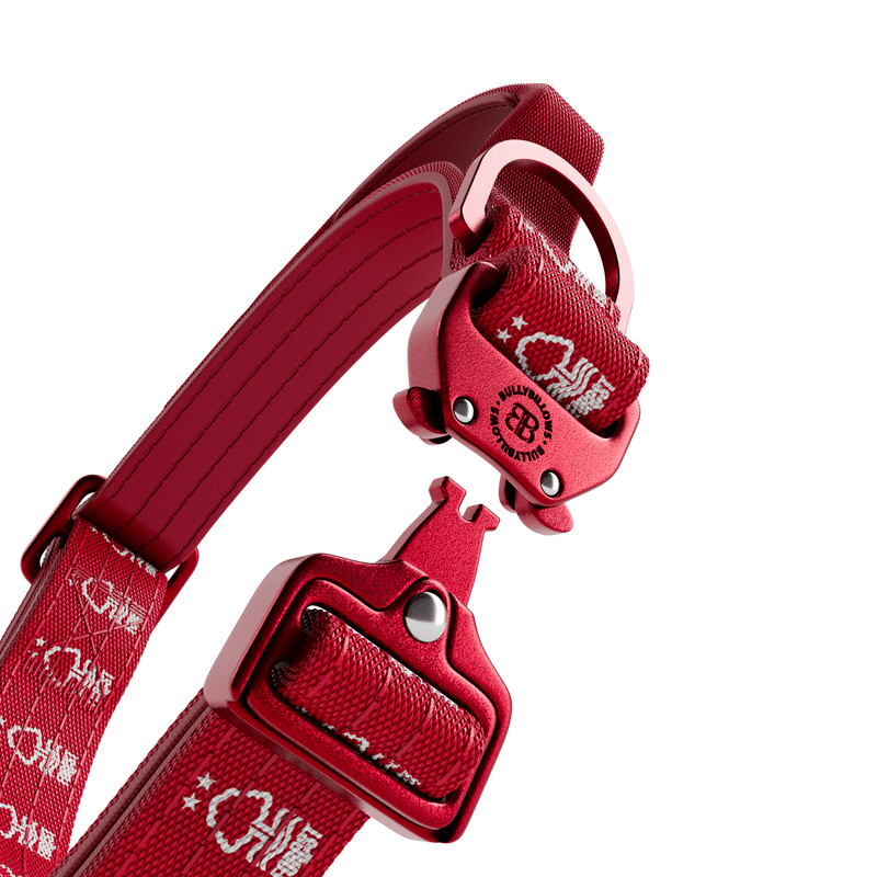 2.5cm Lighter Combat® Collar | Handle & Rated Clip - Nottingham Forest