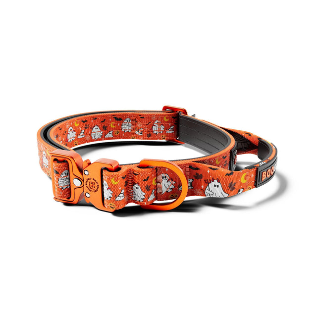 Halloween-themed dog collar with orange and black design on a white background